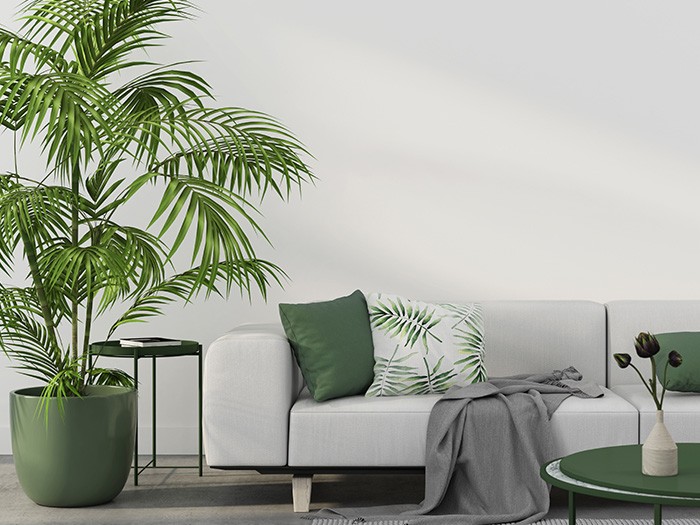 Modern light gray love seat sofa with green accent pillows and tall green indoor plant adjacent to it. 